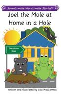 Joel the Mole at Home in Hole: Sounds make Words make Stories, Plus Level, Series 2, Book 4(Sounds Make Words Make Stories)