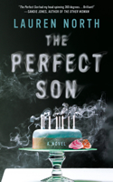 Perfect Son