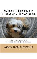 What I Learned from My Havanese