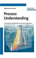 Process Understanding: For Scale-Up and Manufacture of Active Ingredients