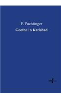 Goethe in Karlsbad