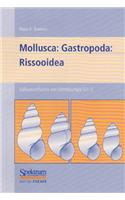 Susswasserfauna Von Mitteleuropa, Bd. 05/1-2: Mollusca: Gastropoda: Rissooidea