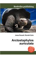 Arctostaphylos Auriculata: (English)