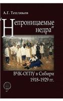 Impervious subsoil. Cheka-OGPU in Siberia. 1918-1929 gg