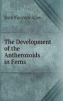 Development of the Antherozoids in Ferns
