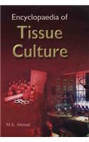 Encyclopaedia of Tissue Culture