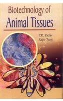 Biotechnology of Animal Tissues
