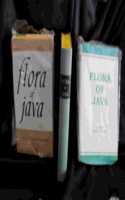 Flora of Java