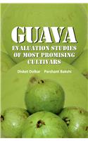 Guava: Evaluation Studies Of Most Promising Cultivars