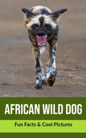 African Wild Dog