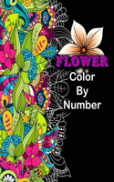 Flower Color By Number