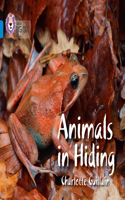 Animals in Hiding: Band 04/Blue(Collins Big Cat)