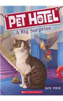 Big Surprise