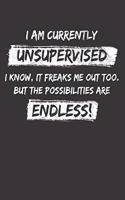 Sarcastic Sayings Unsupervised Notebook Journal