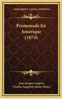 Promenade En Amerique (1874)