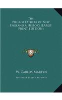 The Pilgrim Fathers of New England a History