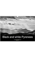 Black and White Pyrenees 2017