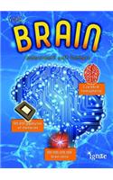 Your Brain: Understand It with Numbers