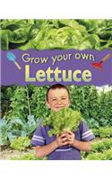 Lettuce