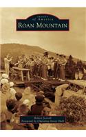 Roan Mountain
