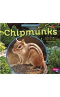 Chipmunks