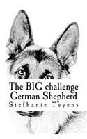 The BIG challenge German Shepherd