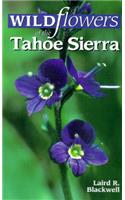 Wildflowers of the Tahoe Sierra