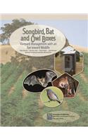 Songbird, Bat, and Owl Boxes