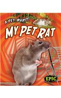 My Pet Rat