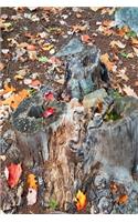 2020 Weekly Planner Fall Foliage Leaves Ground Tree Stump 134 Pages: 2020 Planners Calendars Organizers Datebooks Appointment Books Agendas