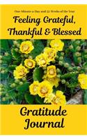 Feeling Grateful, Thankful & Blessed Gratitude Journal