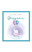 All About Baby Greyson