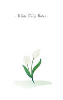 White Tulip Notes