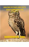 Burrowing Owl
