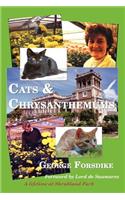 Cats and Chrysanthemums