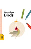 How to Draw Birds