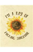 I'm a Ray of Fucking Sunshine: A Sweary Bullet Journal 8.5 X 11 Notebook Planner Organizer