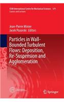 Particles in Wall-Bounded Turbulent Flows: Deposition, Re-Suspension and Agglomeration