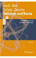 Teilchen Und Kerne: Eine Einfa1/4hrung in Die Physikalischen Konzepte