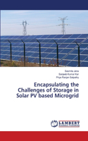 Encapsulating the Challenges of Storage in Solar PV based Microgrid