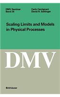 Scaling Limits and Models in Physical Processes