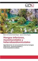 Hongos inferiores, myxomycetales y heterobasidiomicetales