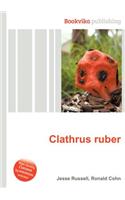 Clathrus Ruber: (English)