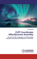 CLPP Coordinates Mitoribosome Assembly