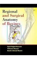 Regional and Surgical Anatomy of Bovines