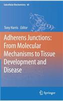 Adherens Junctions: From Molecular Mechanisms to Tissue Development and Disease