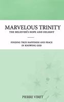 Marvelous Trinity, the Believer's Hope and Delight