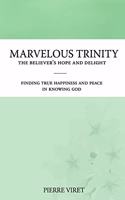 Marvelous Trinity, the Believer's Hope and Delight