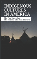 Indigenous Cultures IN America
