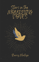 Stars in the Mourning Doves